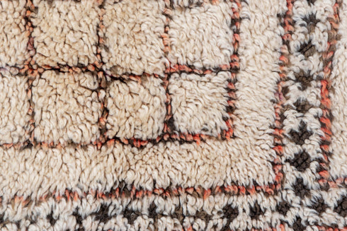 Vintage Moroccan Area Rug (6' x 12')